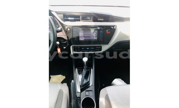 Buy Import Toyota Corolla Other Car in Import - Dubai in Al Jazirah State Buy Import Toyota Corolla Other Car in Import - Dubai in Al Jazirah State