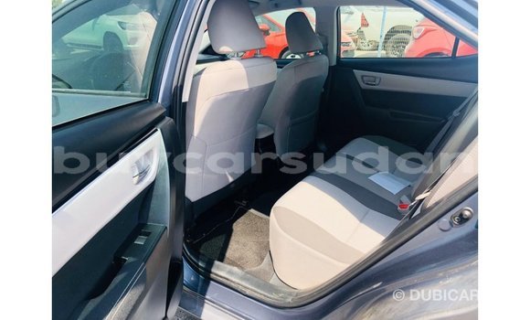 Buy Import Toyota Corolla Other Car in Import - Dubai in Al Jazirah State Buy Import Toyota Corolla Other Car in Import - Dubai in Al Jazirah State