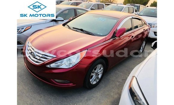 Buy Import Hyundai Sonata Red Car in Import - Dubai in Al Jazirah State