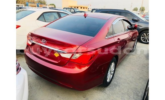 Buy Import Hyundai Sonata Red Car in Import - Dubai in Al Jazirah State Buy Import Hyundai Sonata Red Car in Import - Dubai in Al Jazirah State