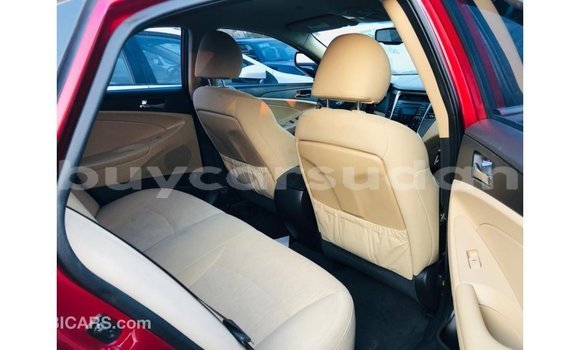 Buy Import Hyundai Sonata Red Car in Import - Dubai in Al Jazirah State Buy Import Hyundai Sonata Red Car in Import - Dubai in Al Jazirah State