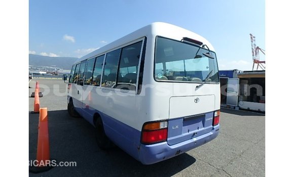 Buy Import Toyota Coaster White Car in Import - Dubai in Al Jazirah State Buy Import Toyota Coaster White Car in Import - Dubai in Al Jazirah State