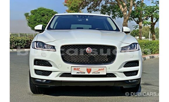 Buy Import Jaguar F-Pace White Car in Import - Dubai in Al Jazirah State Buy Import Jaguar F-Pace White Car in Import - Dubai in Al Jazirah State