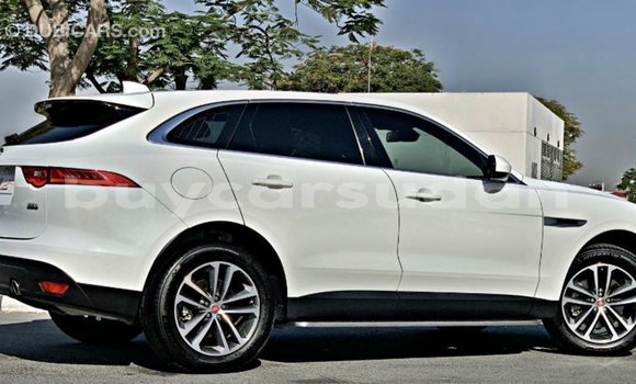 Buy Import Jaguar F-Pace White Car in Import - Dubai in Al Jazirah State Buy Import Jaguar F-Pace White Car in Import - Dubai in Al Jazirah State
