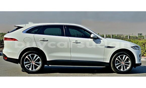 Buy Import Jaguar F-Pace White Car in Import - Dubai in Al Jazirah State Buy Import Jaguar F-Pace White Car in Import - Dubai in Al Jazirah State
