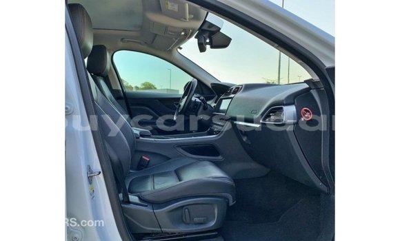Buy Import Jaguar F-Pace White Car in Import - Dubai in Al Jazirah State Buy Import Jaguar F-Pace White Car in Import - Dubai in Al Jazirah State