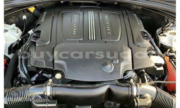 Buy Import Jaguar F-Pace White Car in Import - Dubai in Al Jazirah State Buy Import Jaguar F-Pace White Car in Import - Dubai in Al Jazirah State