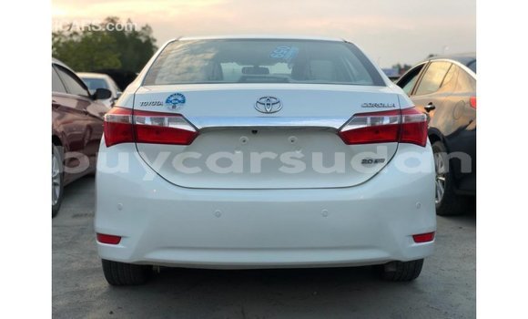 Buy Import Toyota Corolla White Car in Import - Dubai in Al Jazirah State Buy Import Toyota Corolla White Car in Import - Dubai in Al Jazirah State