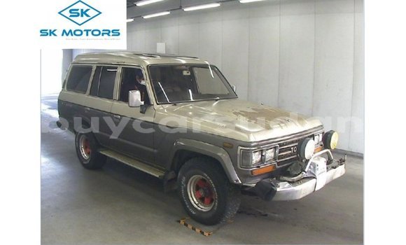 Acheter Import Voiture Toyota Land Cruiser Autre à Import - Dubai, État d'Al Jazirah