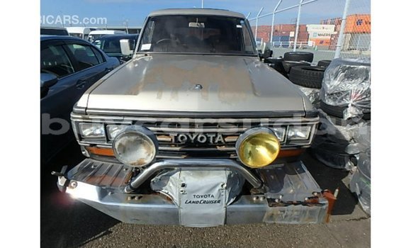 Acheter Import Voiture Toyota Land Cruiser Autre à Import - Dubai, État d'Al Jazirah Acheter Import Voiture Toyota Land Cruiser Autre à Import - Dubai, État d'Al Jazirah