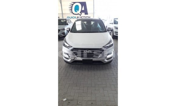 Buy Import Hyundai Tucson Other Car in Import - Dubai in Al Jazirah State Buy Import Hyundai Tucson Other Car in Import - Dubai in Al Jazirah State