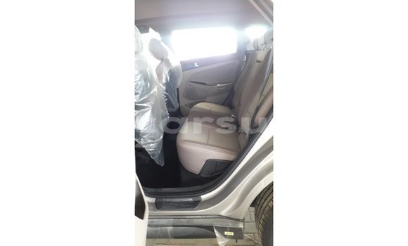 Buy Import Hyundai Tucson Other Car in Import - Dubai in Al Jazirah State Buy Import Hyundai Tucson Other Car in Import - Dubai in Al Jazirah State
