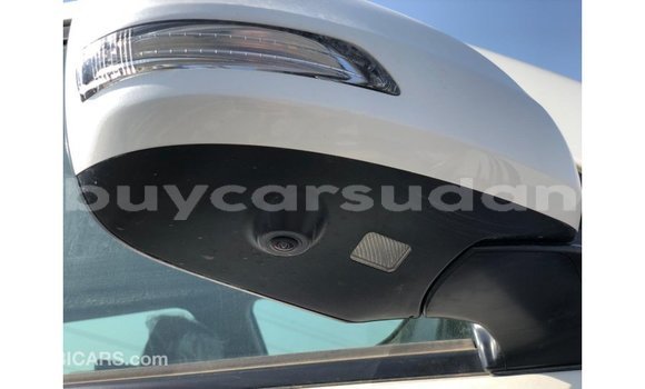 Buy Import Toyota Land Cruiser White Car in Import - Dubai in Al Jazirah State Buy Import Toyota Land Cruiser White Car in Import - Dubai in Al Jazirah State