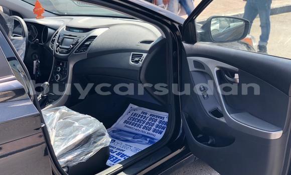 Buy Used Hyundai Elantra Brown Car in al–Jazirah in an-Nil-al-Abyad Buy Used Hyundai Elantra Brown Car in al–Jazirah in an-Nil-al-Abyad