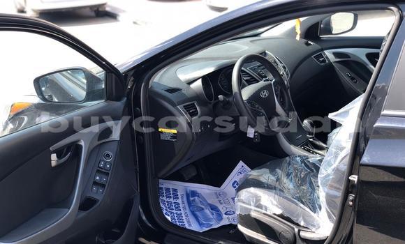 Buy Used Hyundai Elantra Brown Car in al–Jazirah in an-Nil-al-Abyad Buy Used Hyundai Elantra Brown Car in al–Jazirah in an-Nil-al-Abyad