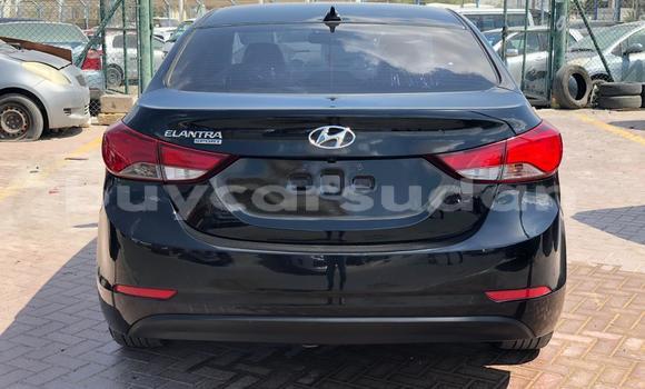 Buy Used Hyundai Elantra Brown Car in al–Jazirah in an-Nil-al-Abyad Buy Used Hyundai Elantra Brown Car in al–Jazirah in an-Nil-al-Abyad