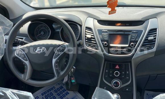 Buy Used Hyundai Elantra Brown Car in al–Jazirah in an-Nil-al-Abyad Buy Used Hyundai Elantra Brown Car in al–Jazirah in an-Nil-al-Abyad