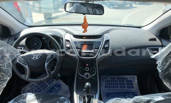 Buy Used Hyundai Elantra Brown Car in al–Jazirah in an-Nil-al-Abyad Buy Used Hyundai Elantra Brown Car in al–Jazirah in an-Nil-al-Abyad