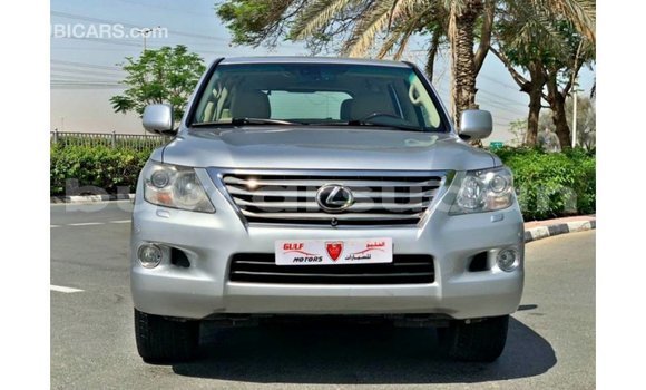 Buy Import Lexus LX Other Car in Import - Dubai in Al Jazirah State Buy Import Lexus LX Other Car in Import - Dubai in Al Jazirah State