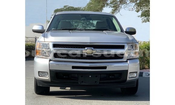 Buy Import Chevrolet Silverado Other Car in Import - Dubai in Al Jazirah State Buy Import Chevrolet Silverado Other Car in Import - Dubai in Al Jazirah State