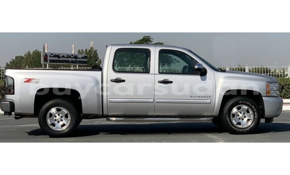 Buy Import Chevrolet Silverado Other Car in Import - Dubai in Al Jazirah State Buy Import Chevrolet Silverado Other Car in Import - Dubai in Al Jazirah State