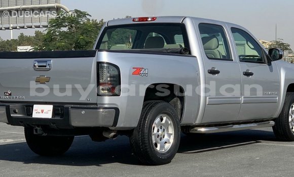 Buy Import Chevrolet Silverado Other Car in Import - Dubai in Al Jazirah State Buy Import Chevrolet Silverado Other Car in Import - Dubai in Al Jazirah State