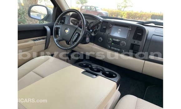 Buy Import Chevrolet Silverado Other Car in Import - Dubai in Al Jazirah State Buy Import Chevrolet Silverado Other Car in Import - Dubai in Al Jazirah State