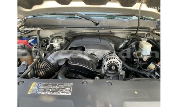 Buy Import Chevrolet Silverado Other Car in Import - Dubai in Al Jazirah State Buy Import Chevrolet Silverado Other Car in Import - Dubai in Al Jazirah State