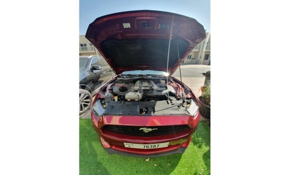 Buy Import Ford Mustang Red Car in Import - Dubai in Al Jazirah State Buy Import Ford Mustang Red Car in Import - Dubai in Al Jazirah State