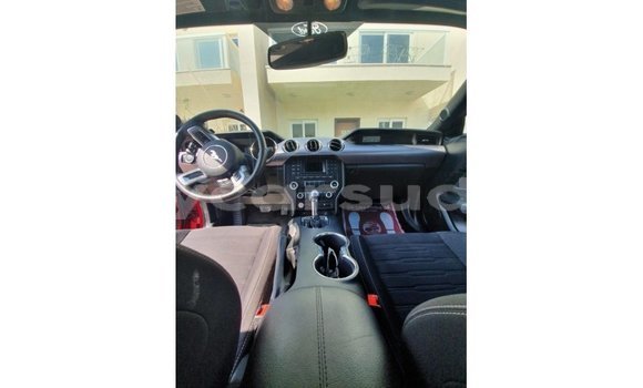 Buy Import Ford Mustang Red Car in Import - Dubai in Al Jazirah State Buy Import Ford Mustang Red Car in Import - Dubai in Al Jazirah State