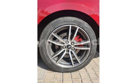 Buy Import Ford Mustang Red Car in Import - Dubai in Al Jazirah State Buy Import Ford Mustang Red Car in Import - Dubai in Al Jazirah State