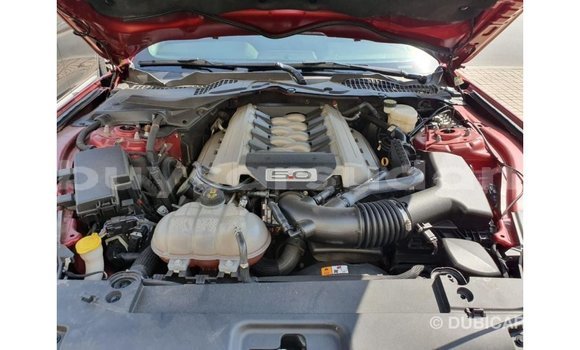 Buy Import Ford Mustang Red Car in Import - Dubai in Al Jazirah State Buy Import Ford Mustang Red Car in Import - Dubai in Al Jazirah State