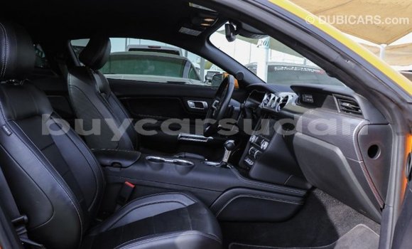 Buy Import Ford Mustang Other Car in Import - Dubai in Al Jazirah State Buy Import Ford Mustang Other Car in Import - Dubai in Al Jazirah State