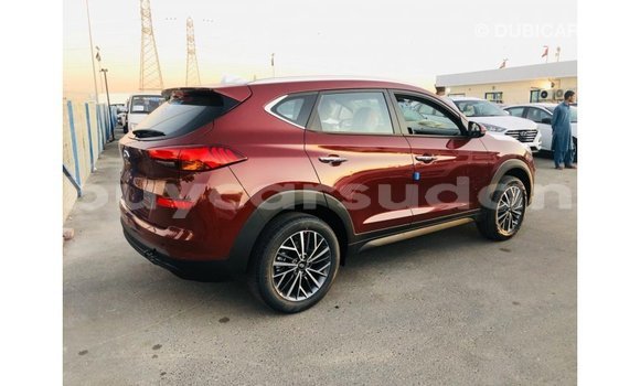 Buy Import Hyundai Tucson Other Car in Import - Dubai in Al Jazirah State Buy Import Hyundai Tucson Other Car in Import - Dubai in Al Jazirah State