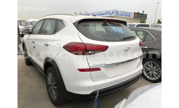 Buy Import Hyundai Tucson White Car in Import - Dubai in Al Jazirah State Buy Import Hyundai Tucson White Car in Import - Dubai in Al Jazirah State