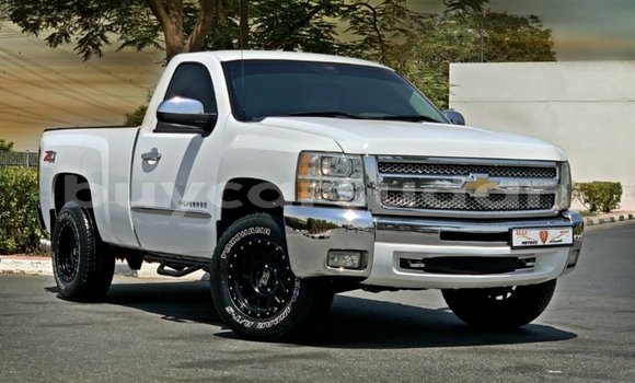 Buy Import Chevrolet Silverado White Car in Import - Dubai in Al Jazirah State Buy Import Chevrolet Silverado White Car in Import - Dubai in Al Jazirah State