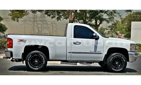 Buy Import Chevrolet Silverado White Car in Import - Dubai in Al Jazirah State Buy Import Chevrolet Silverado White Car in Import - Dubai in Al Jazirah State
