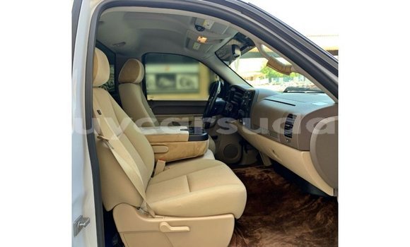 Buy Import Chevrolet Silverado White Car in Import - Dubai in Al Jazirah State Buy Import Chevrolet Silverado White Car in Import - Dubai in Al Jazirah State