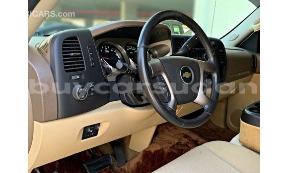 Buy Import Chevrolet Silverado White Car in Import - Dubai in Al Jazirah State Buy Import Chevrolet Silverado White Car in Import - Dubai in Al Jazirah State