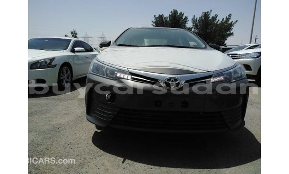 Buy Import Toyota Corolla Other Car in Import - Dubai in Al Jazirah State Buy Import Toyota Corolla Other Car in Import - Dubai in Al Jazirah State