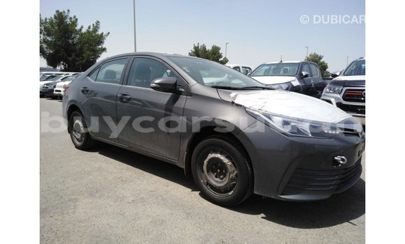 Buy Import Toyota Corolla Other Car in Import - Dubai in Al Jazirah State Buy Import Toyota Corolla Other Car in Import - Dubai in Al Jazirah State