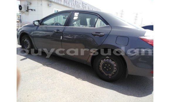 Buy Import Toyota Corolla Other Car in Import - Dubai in Al Jazirah State Buy Import Toyota Corolla Other Car in Import - Dubai in Al Jazirah State