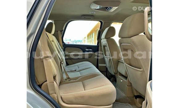 Buy Import Chevrolet Tahoe Other Car in Import - Dubai in Al Jazirah State Buy Import Chevrolet Tahoe Other Car in Import - Dubai in Al Jazirah State
