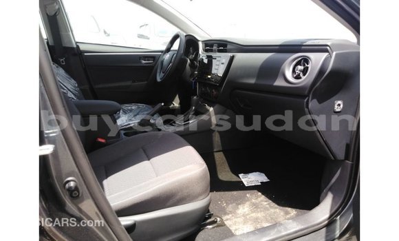 Buy Import Toyota Corolla Other Car in Import - Dubai in Al Jazirah State Buy Import Toyota Corolla Other Car in Import - Dubai in Al Jazirah State