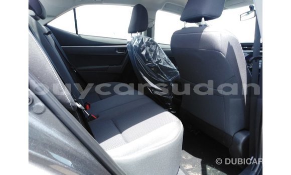 Buy Import Toyota Corolla Other Car in Import - Dubai in Al Jazirah State Buy Import Toyota Corolla Other Car in Import - Dubai in Al Jazirah State
