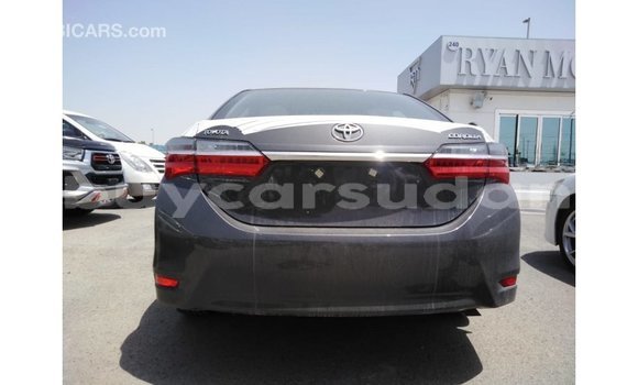 Buy Import Toyota Corolla Other Car in Import - Dubai in Al Jazirah State Buy Import Toyota Corolla Other Car in Import - Dubai in Al Jazirah State