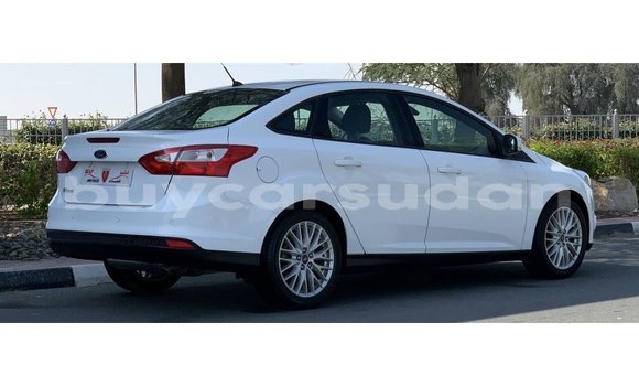 Buy Import Ford Focus White Car in Import - Dubai in Al Jazirah State Buy Import Ford Focus White Car in Import - Dubai in Al Jazirah State