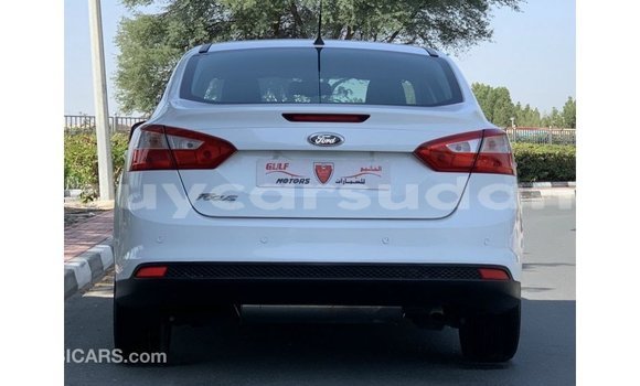 Buy Import Ford Focus White Car in Import - Dubai in Al Jazirah State Buy Import Ford Focus White Car in Import - Dubai in Al Jazirah State