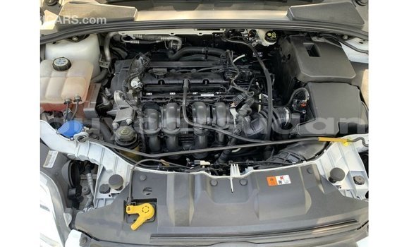 Buy Import Ford Focus White Car in Import - Dubai in Al Jazirah State Buy Import Ford Focus White Car in Import - Dubai in Al Jazirah State