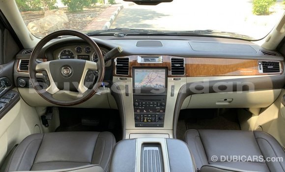 Buy Import Cadillac Escalade Black Car in Import - Dubai in Al Jazirah State Buy Import Cadillac Escalade Black Car in Import - Dubai in Al Jazirah State
